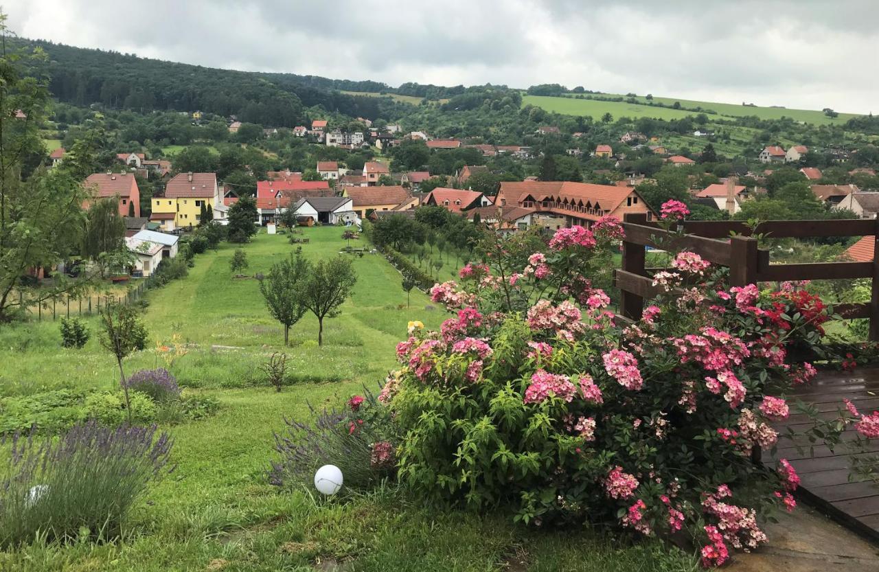 U Vinare Radejov
