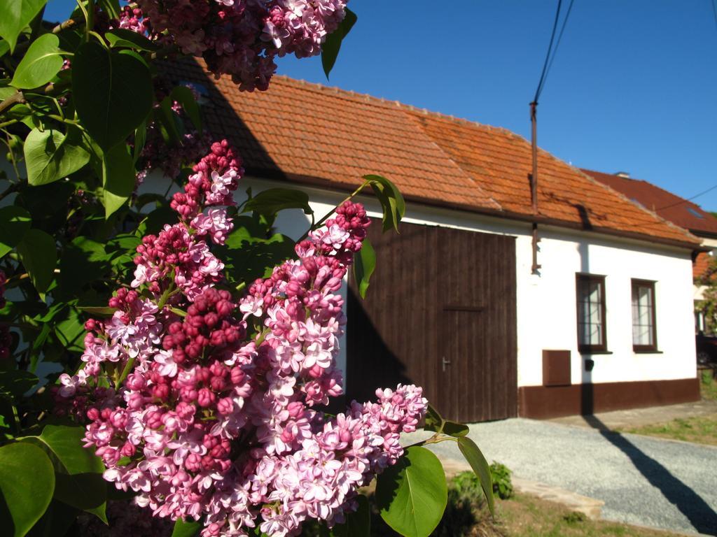 Holiday home U Vinare